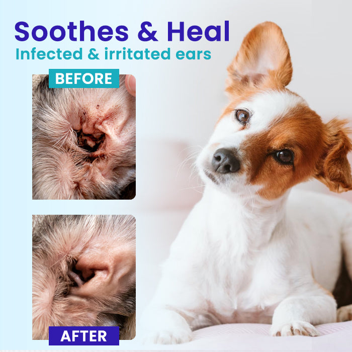 Official Store | RZXEA™ Pet EarPro Drops FM+
