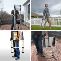 Telescopic Ladder 1