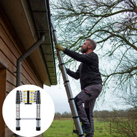 Telescopic Ladder 4